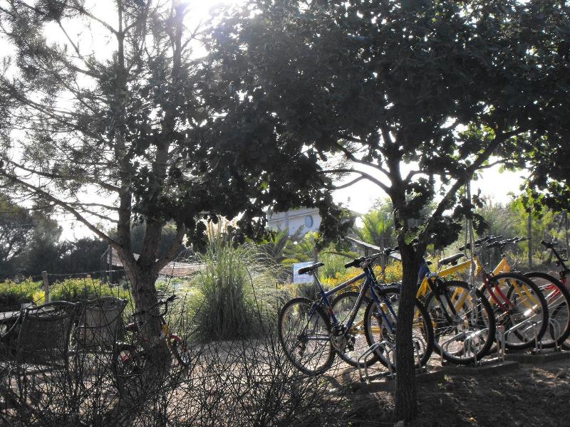 Villa Trigona image