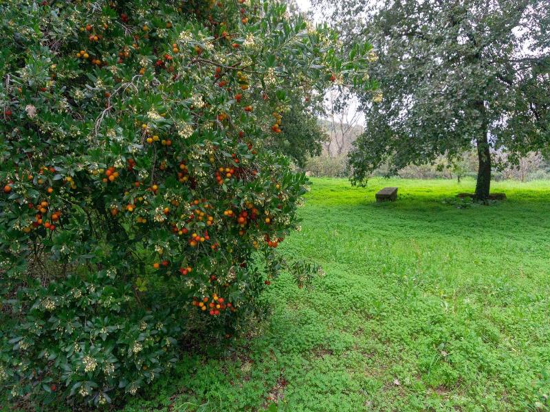 Villa Trigona image