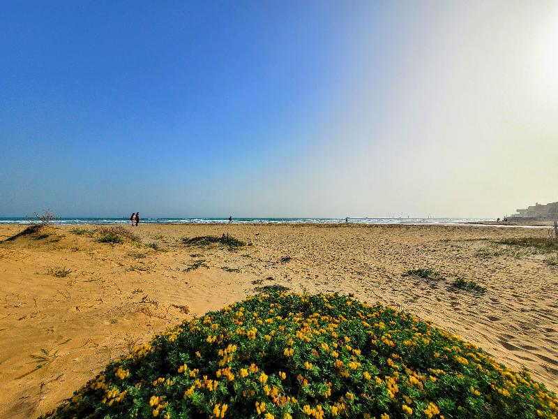 Mare Nostrum Petit Hotel image