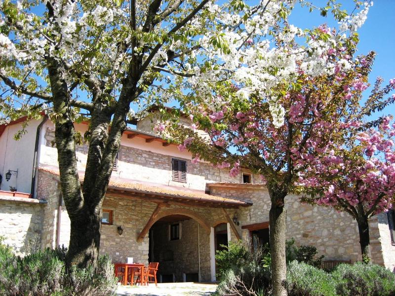 Vignola Apartments image
