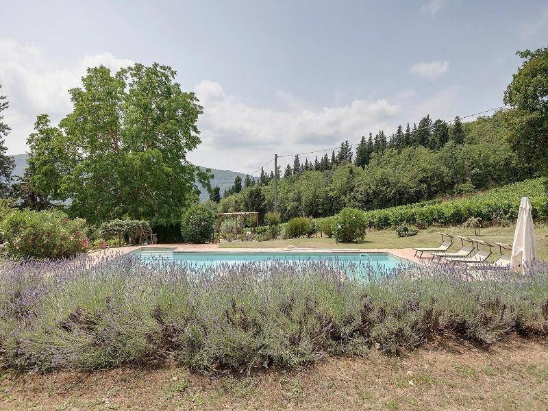 Vignola Apartments image