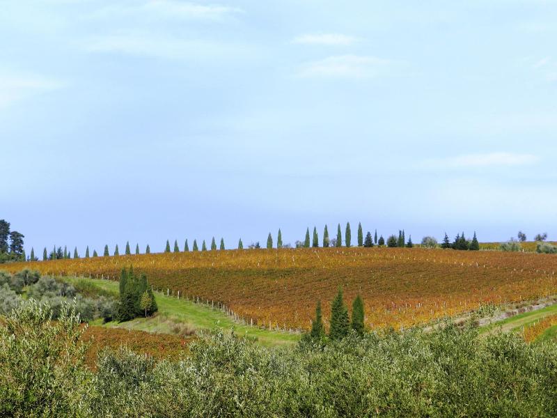 Vignola Apartments image
