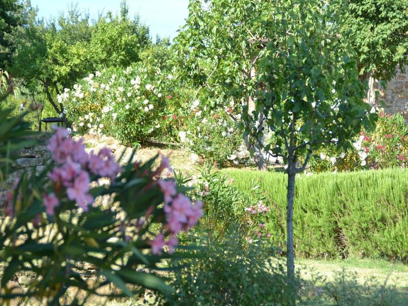 Vignola Apartments image