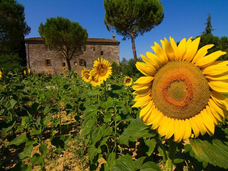 Agriturismo Il Molinello image