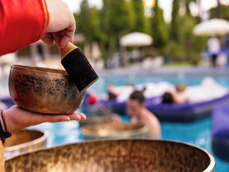 Hotel Terme Metropole image