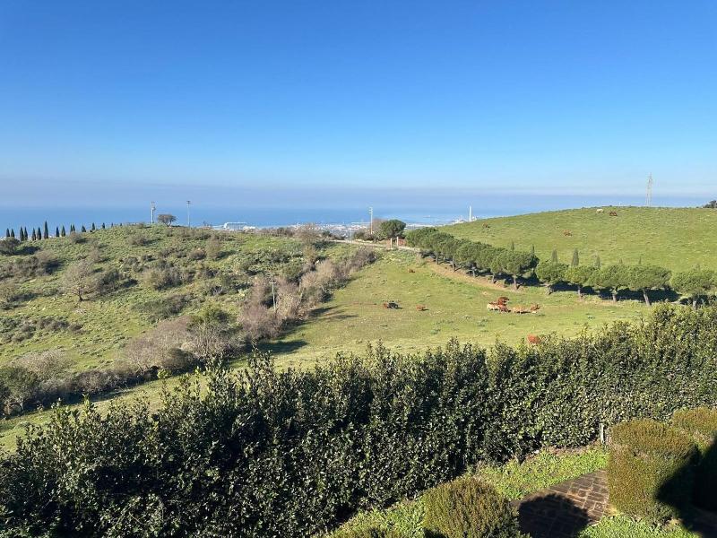 Tenuta Dell'Argento Resort image