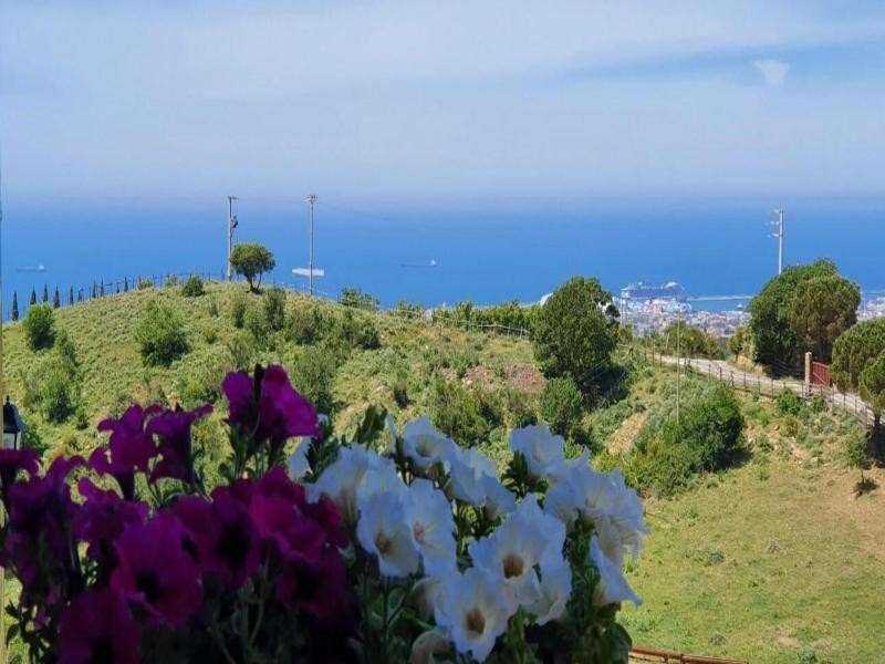 Tenuta Dell'Argento Resort image