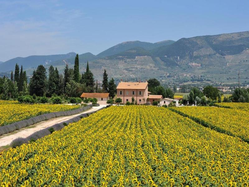 Country House Casco Dellacqua image