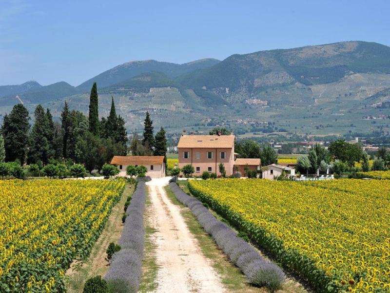 Country House Casco Dellacqua image