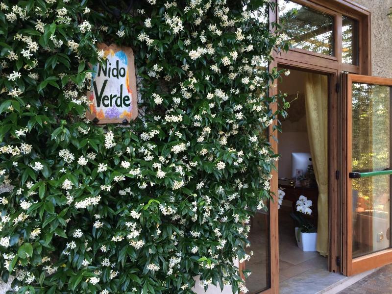 Nido Verde image