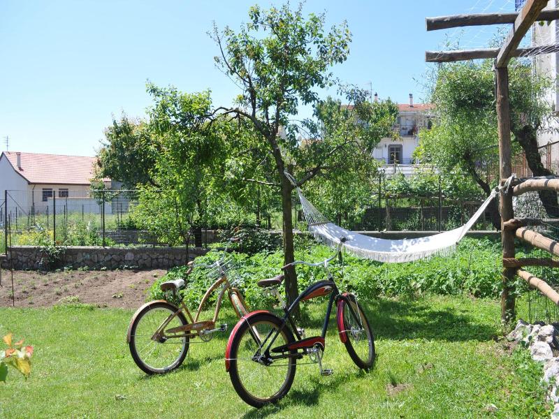 Nido Verde image