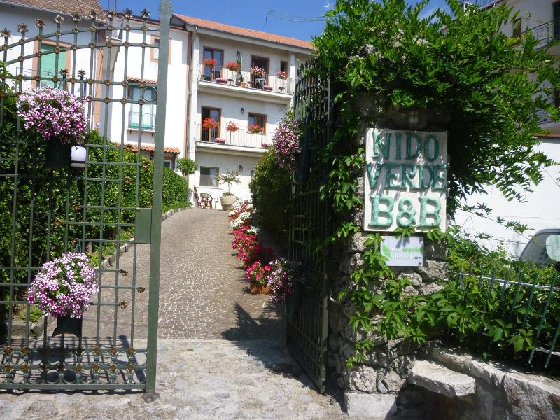 Nido Verde image