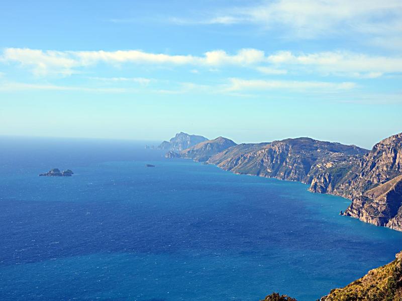 Nido Verde image
