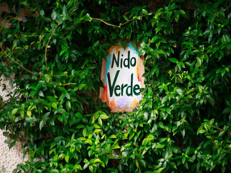 Nido Verde image