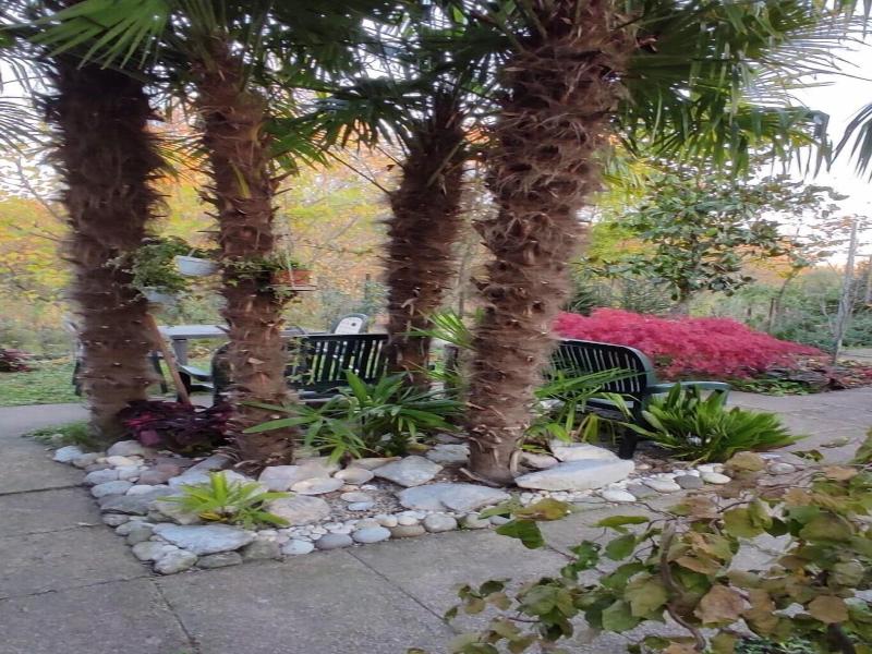 Bed And Breakfast Dream image