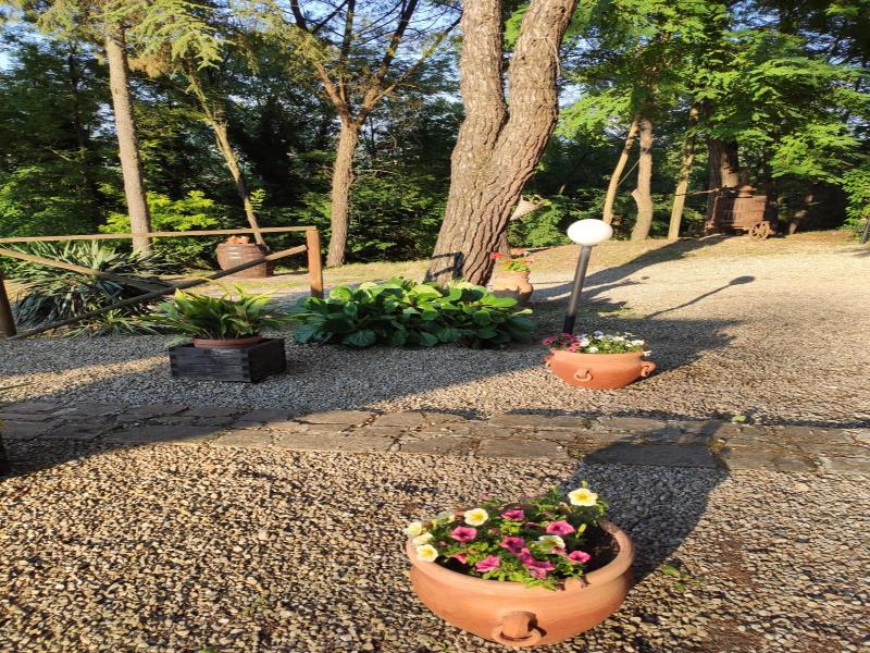 Antico Podere Il Bugnolo B&B image