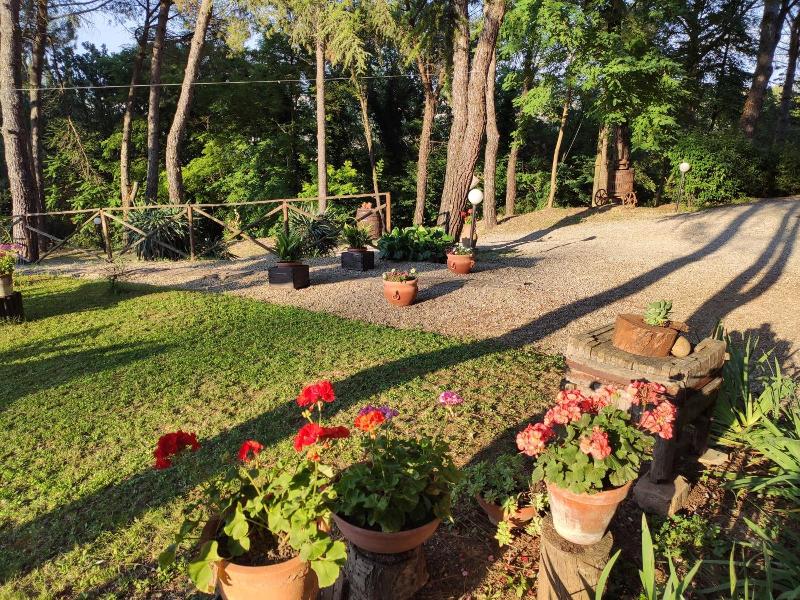 Antico Podere Il Bugnolo B&B image