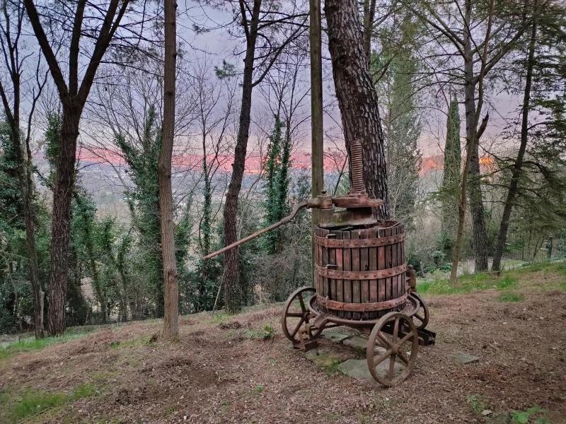 Antico Podere Il Bugnolo B&B image