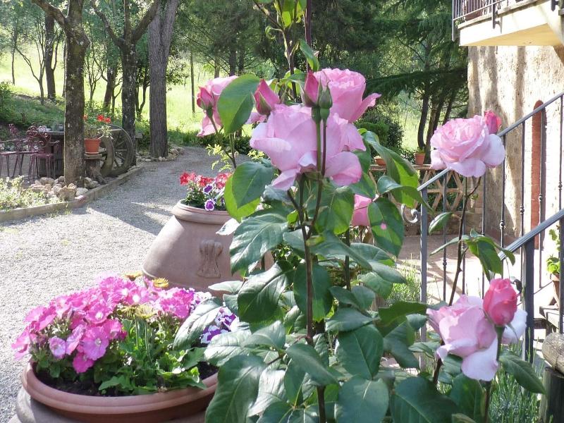 Antico Podere Il Bugnolo B&B image