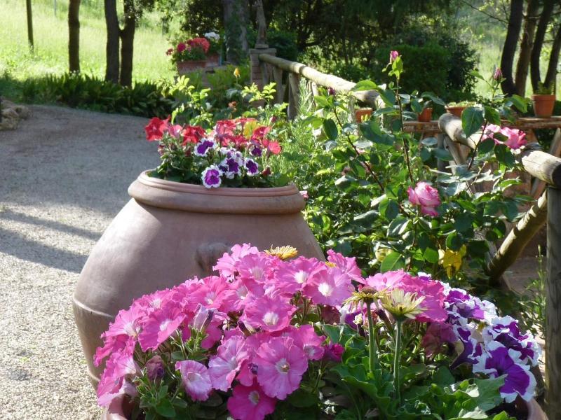Antico Podere Il Bugnolo B&B image