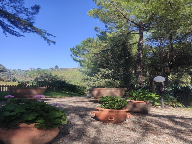 Antico Podere Il Bugnolo B&B image