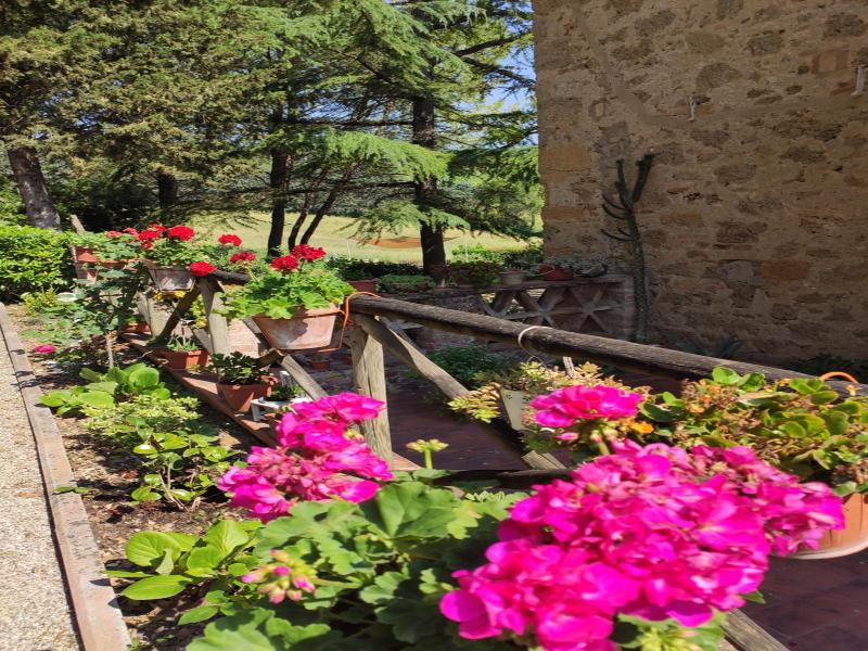 Antico Podere Il Bugnolo B&B image