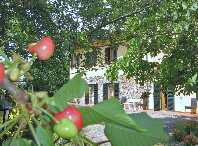 Agriturismo Il Gelso image