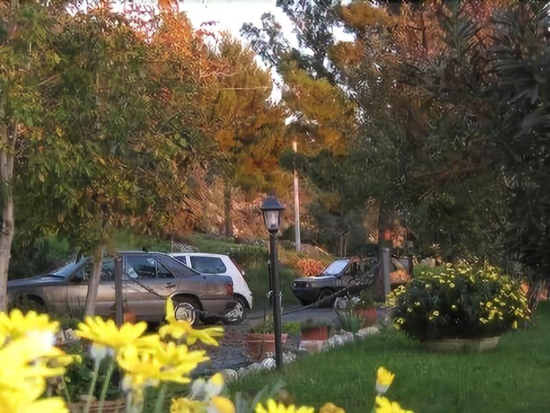 Agriturismo Il Gelso image