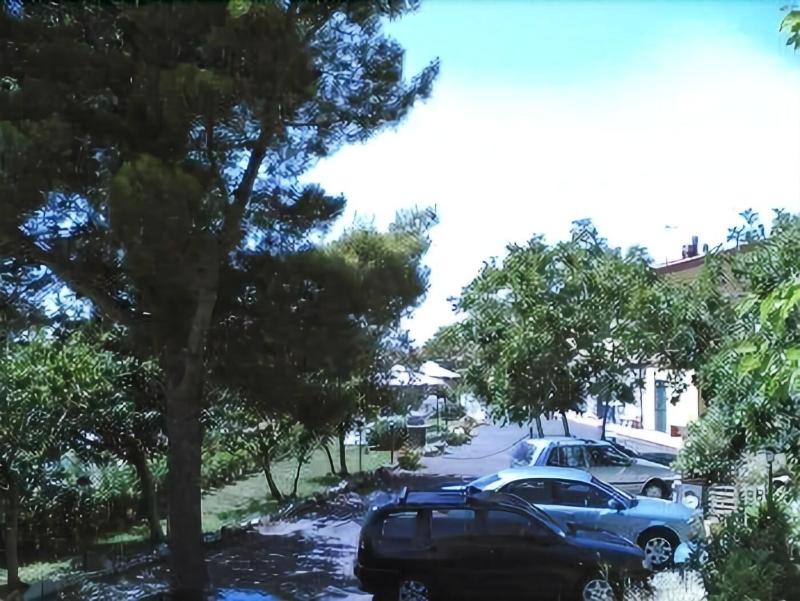 Agriturismo Il Gelso image