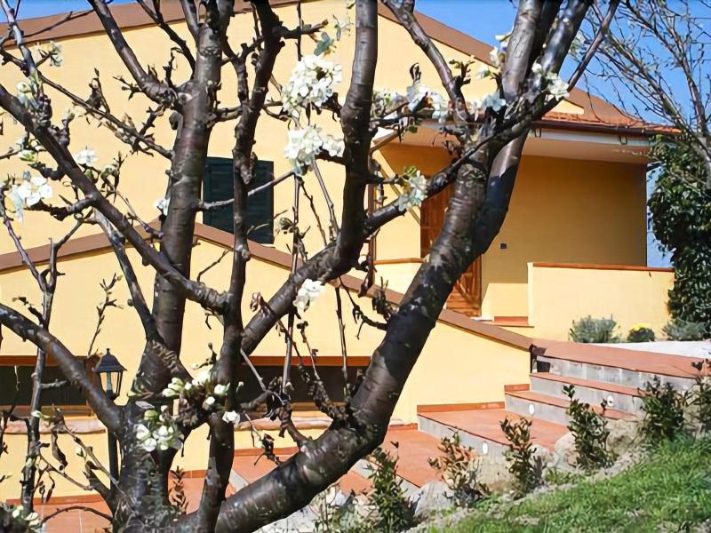 Agriturismo Il Gelso image