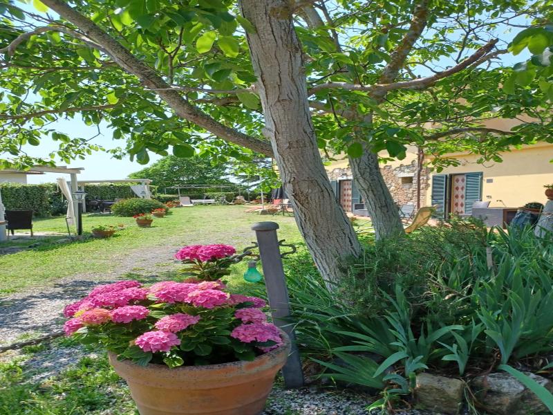 Agriturismo Il Gelso image