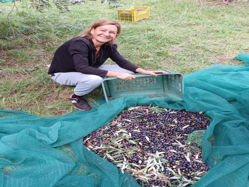Agriturismo Il Gelso image