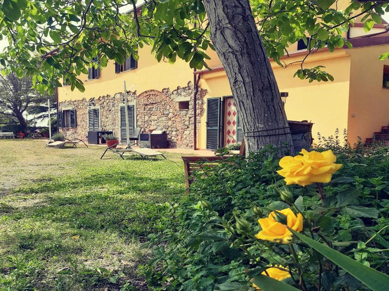 Agriturismo Il Gelso image