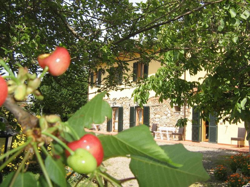 Agriturismo Il Gelso image