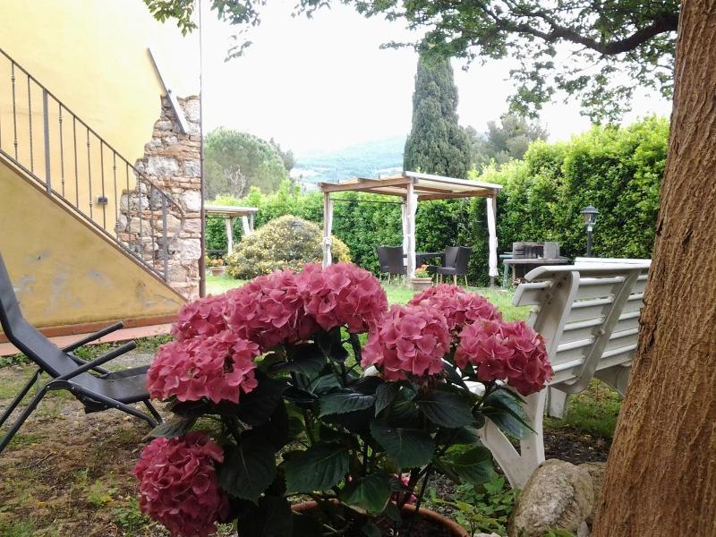 Agriturismo Il Gelso image