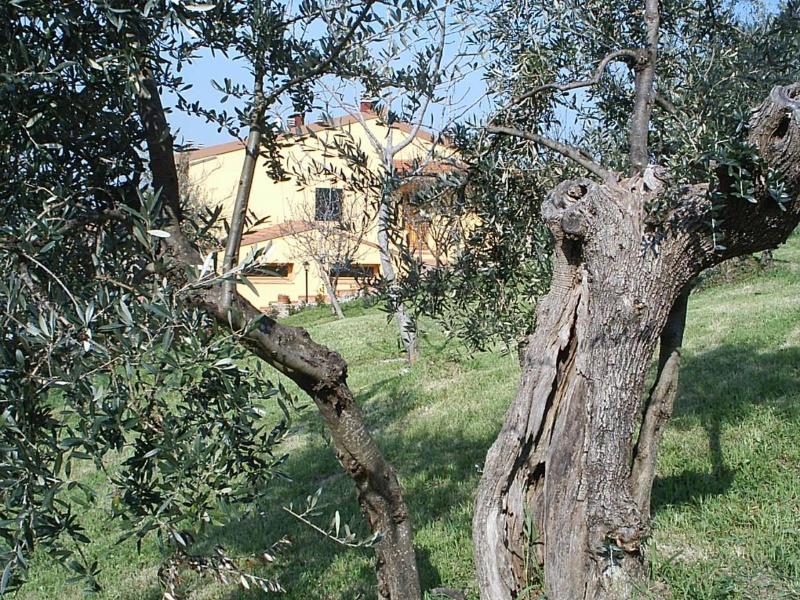 Agriturismo Il Gelso image