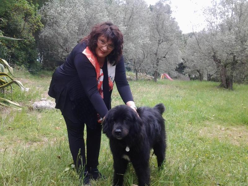 Agriturismo Il Gelso image