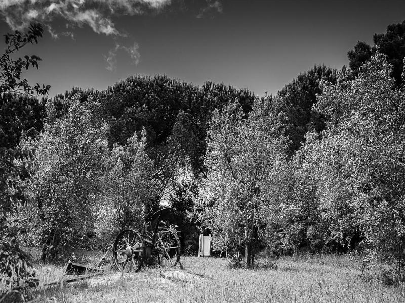 Agriturismo Il Gelso image