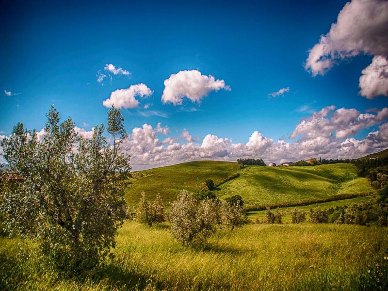 Agriturismo Il Gelso image