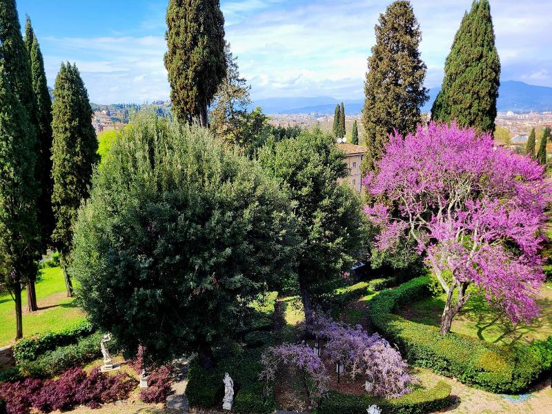 Villa Nardi - Residenza D'Epoca image