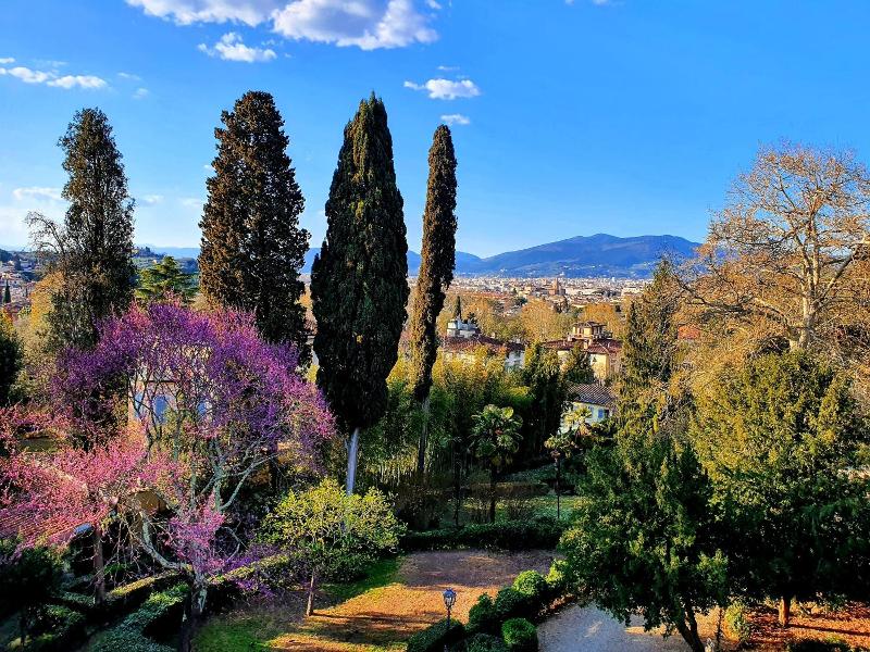 Villa Nardi - Residenza D'Epoca image