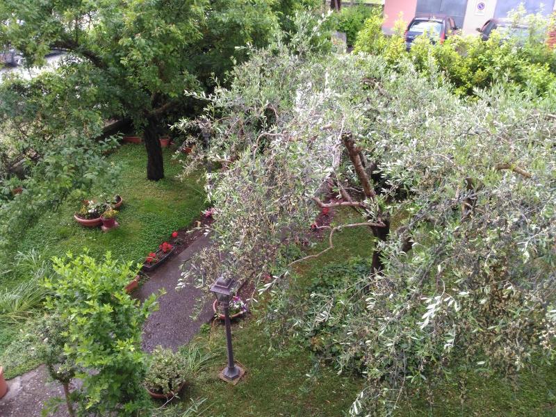 Bed And Breakfast Angelini image