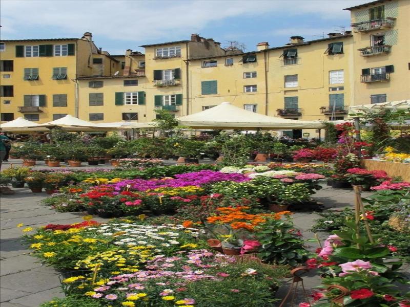 Bed And Breakfast Angelini image