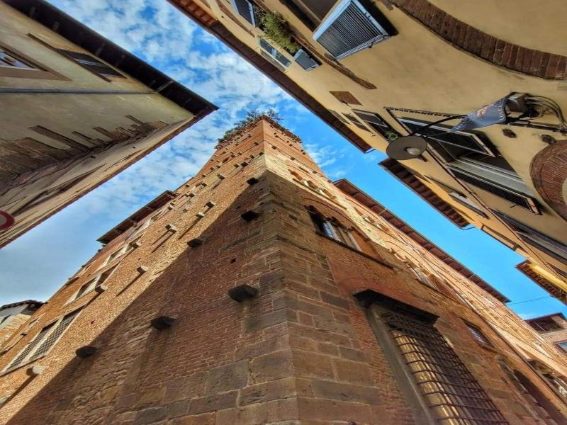 Bed And Breakfast Angelini image