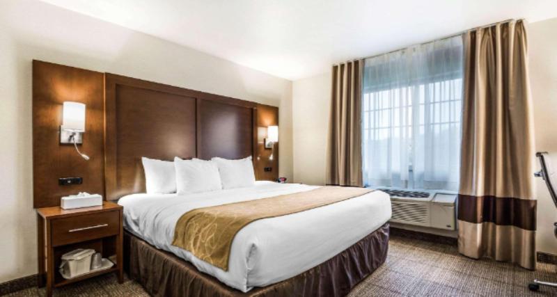 Comfort Suites At Par 4 Resort image