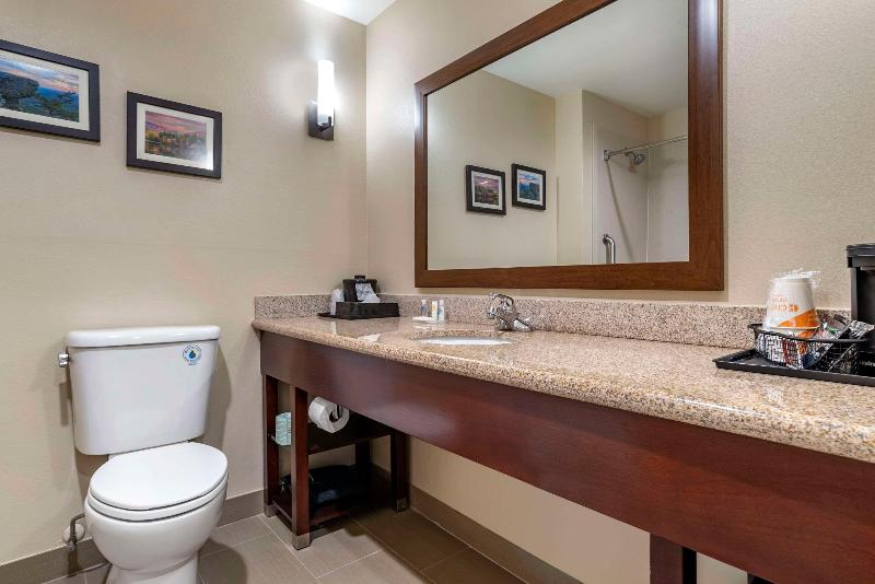 Comfort Suites Pell City I-20 exit 158 image