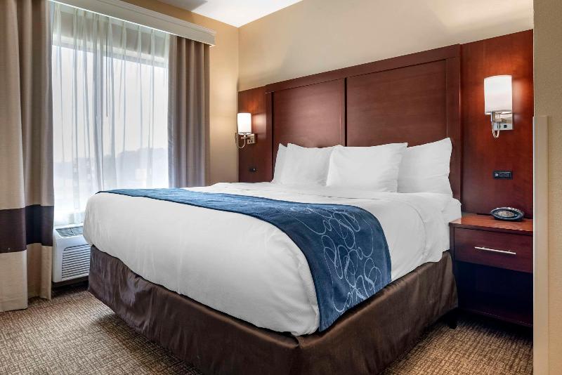 Comfort Suites Pell City I-20 exit 158 image
