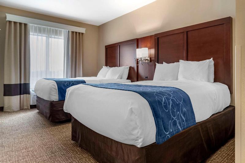 Comfort Suites Pell City I-20 exit 158 image