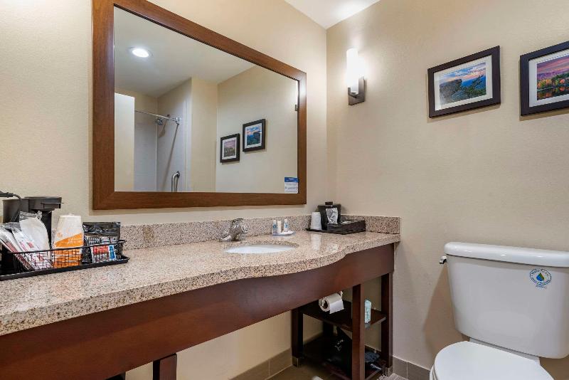 Comfort Suites Pell City I-20 exit 158 image