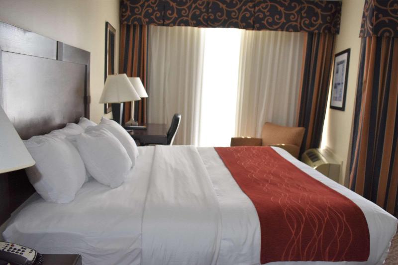 Comfort Inn & Suites Near Lake Guntersville image